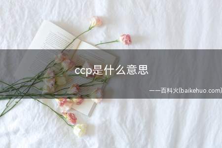 ccp是什么梗(处cp的缩写 )