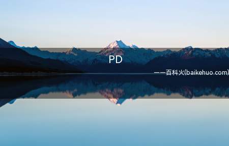 PD是什么梗（Police Department 缩写）