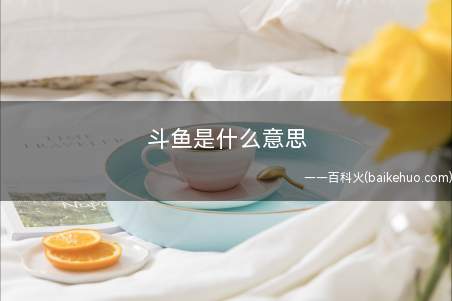 斗鱼是什么梗(一个根红苗正的直播平台)
