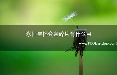 永恒星杯套装碎片有什么用(永恒星碑套装碎片有什么用)