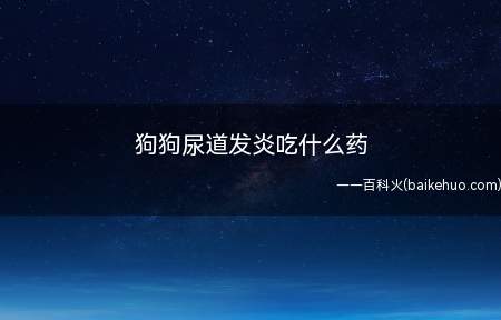 狗狗尿道发炎吃什么药(狗狗尿道炎的原因有哪些)