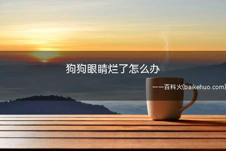 狗狗眼睛烂了怎么办（狗狗眼睛烂了的话,建议手术摘除眼球）