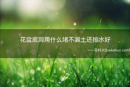 花盆底洞用什么堵不漏土还排水好
