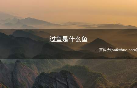石斑鱼的身体颜色和岩石有些像,不是很鲜艳的,嘴巴很大