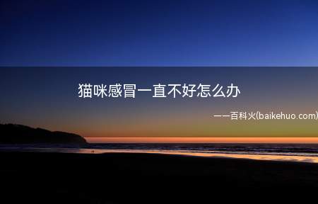 猫咪感冒一直不好怎么办(猫咪感冒一般分为两种)