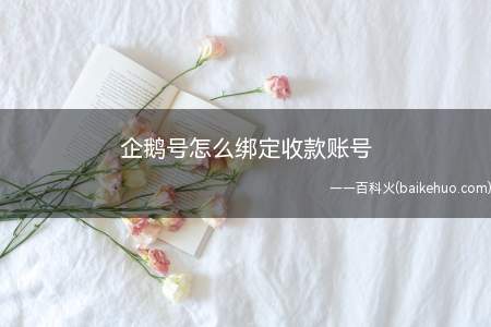 企鹅号怎么绑定收款账号(企鹅号要绑定收款账号才能提现)