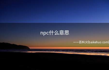 npc什么意思(npc什么意思NPC英文全称是non)