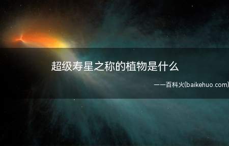 超级寿星之称的植物是什么(关于超级寿星之称的植物)