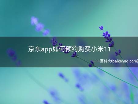 京东app如何预约购买小米11