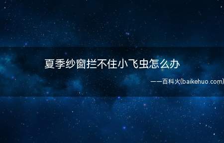 夏季纱窗拦不住小飞虫怎么办