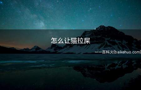 怎么让猫拉屎(猫咪便秘不拉屎怎么办)