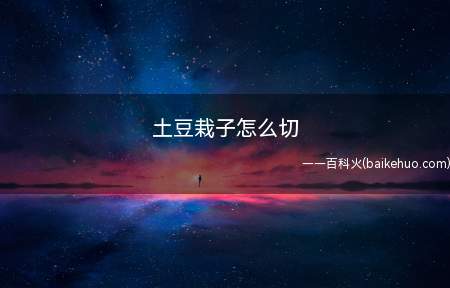 土豆栽子怎么切(土豆栽子怎么切 切土豆的方法)