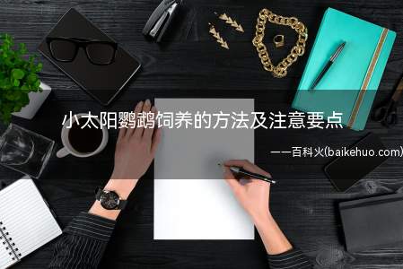 小太阳鹦鹉饲养的方法及注意要点