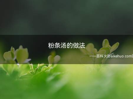 粉条汤的做法(粉条汤用好多种,下面为你推荐)