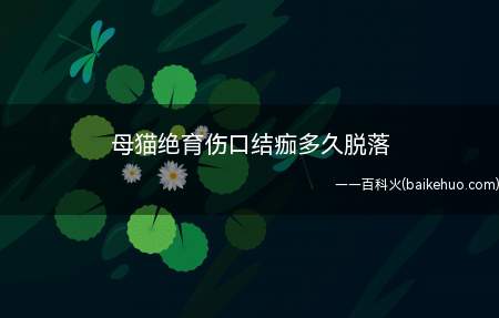 母猫绝育伤口结痂多久脱落(母猫绝育伤口能快速愈合吗)