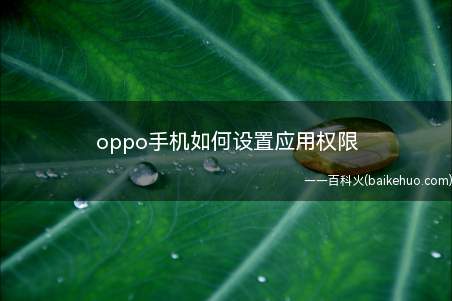 oppo手机如何设置应用权限