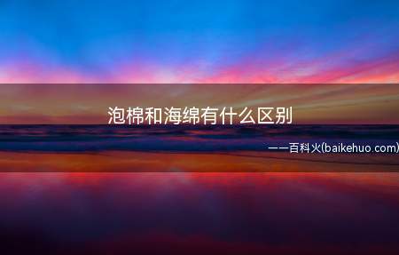 泡棉和海绵有什么区别