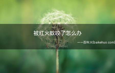 被红火蚁咬了怎么办