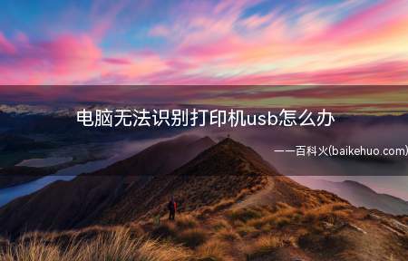 电脑无法识别打印机usb怎么办(电脑无法识别打印机USB该怎么办)