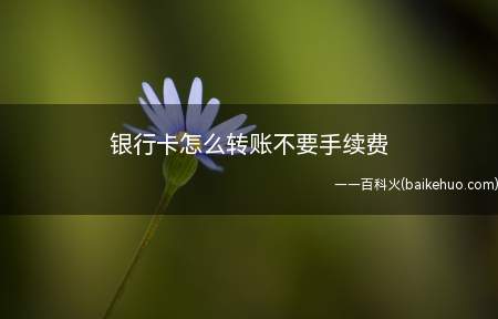 银行卡怎么转账不要手续费(用户在转账时需要注意这一点)