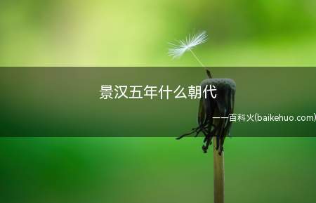景汉五年什么朝代(景汉五年是汉景帝朝代,在西汉历史上占有重要地位)