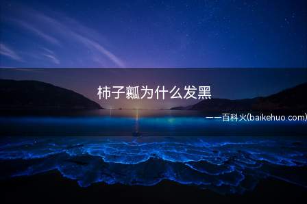 柿子瓤发黑可能是柿种在经过人工改良时,其雌花失去了受孕结子的
