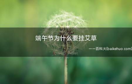 端午节为什么要挂艾草