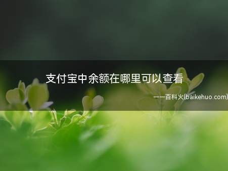 你支付宝里面还有多少钱,我来教大家如何查看打开手机,点击支付