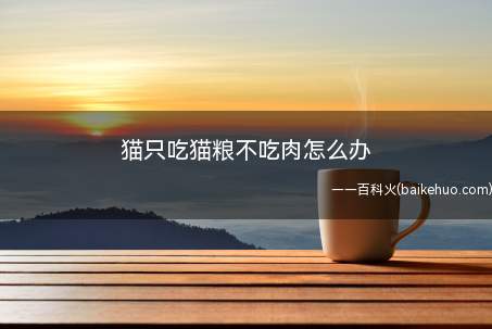 猫只吃猫粮不吃肉怎么办(猫咪不能只吃猫粮不吃肉)