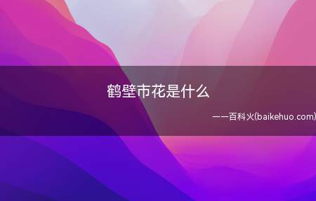 鹤壁市花是什么（国槐为鹤壁市市树,迎春花为市花）