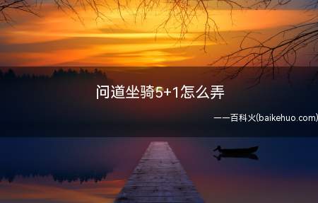 问道坐骑5+1怎么弄(东海渔村玉真子坐骑51怎么弄)