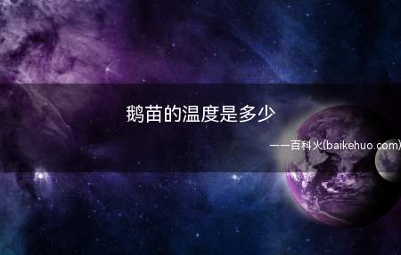 鹅苗的温度是多少(1-3日温度可在20)