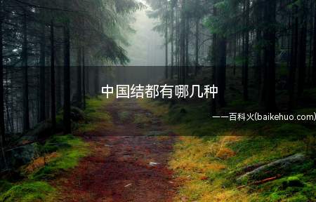中国结的基本结法有双钱结、纽扣结、琵琶结、团锦结、十字结、吉