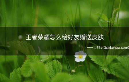 王者荣耀怎么给好友赠送皮肤(王者荣耀赠送好友英雄皮肤)