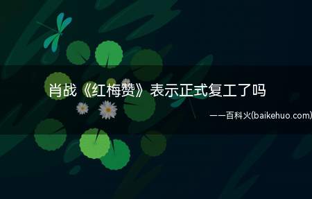 肖战《红梅赞》表示正式复工了吗 完整版歌词在线听歌