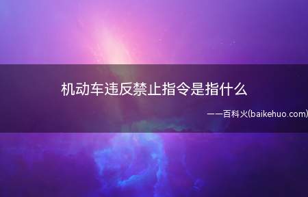 机动车违反禁止指令是指什么(机动车违反禁令标志指示)