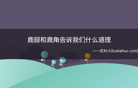 鹿腿和鹿角告诉我们有所短,寸有所长,任何事物都有长处和短处,