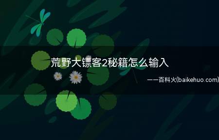 荒野大镖客2秘籍怎么输入