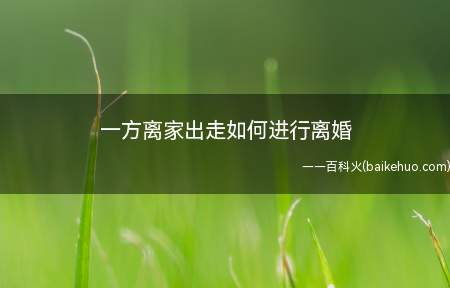 一方离家出走如何进行离婚(一方离家出走另一方可以诉讼离婚吗)