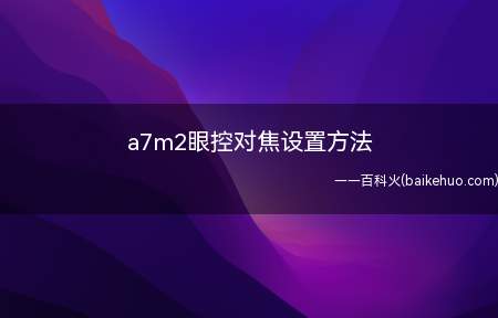 a7m2眼控对焦设置方法（索尼FE85mmF1）