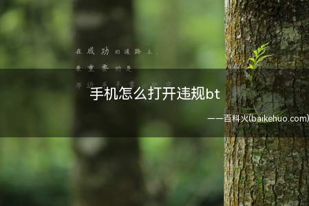 手机怎么打开违规bt(手机上下载不了某些软件怎么办)