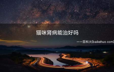 猫咪肾病能治好吗（不同病因导致猫咪肾脏疾病,治愈率有比较大的差异）