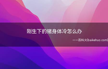 刚生下的猪身体冷怎么办(小猪生下了小猪以后,要特别是小心进行护理)