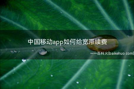中国移动app如何给宽带续费