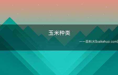 玉米种类(玉米的种类十分繁多,但是主要分为五类)
