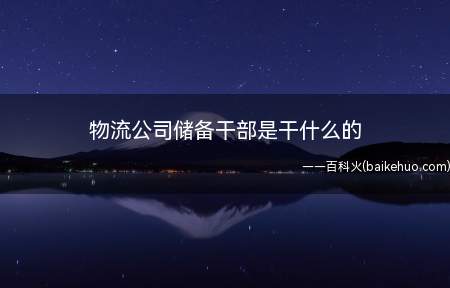 物流公司储备干部是干什么的(物流公司储备干部的工作)