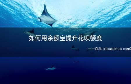 如何用余额宝提升花呗额度(余额宝提升花呗额度的操作方法)