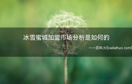 冰雪蜜城加盟市场分析是如何的