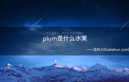 plum是什么水果