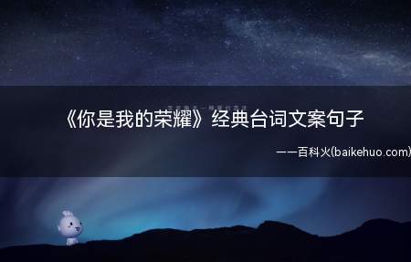 《你是我的荣耀》经典台词文案句子